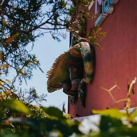 Red Iguana Hotel Sweti Wlas