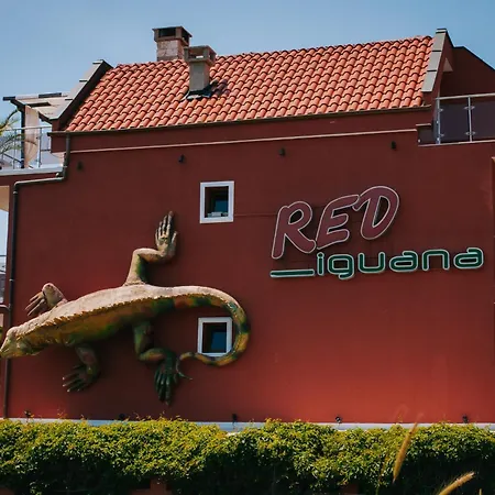 Red Iguana Święty Włas