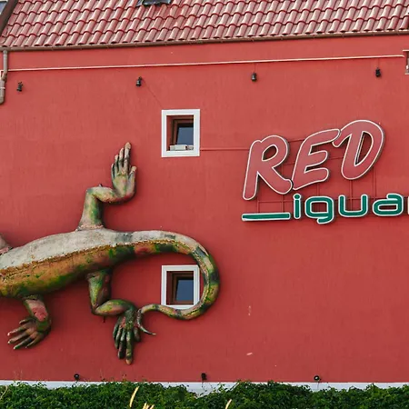 Red Iguana 3* סבטי ולאס
