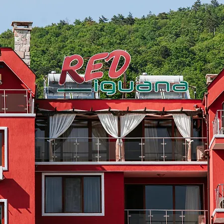 红色鬣蜥酒店 酒店