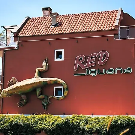 Red Iguana 3*