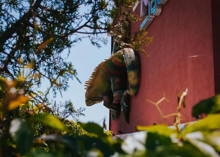 Red Iguana Hotel Sveti Vlas