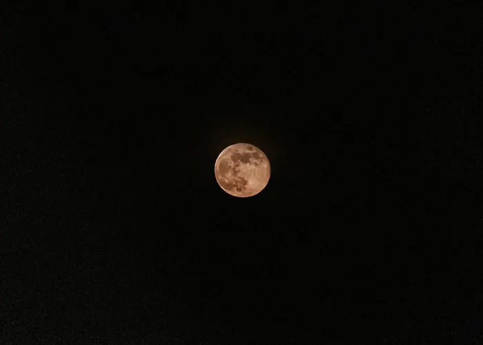 Red Iguana Sveti Vlas